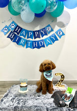 Load image into Gallery viewer, Pooch Party Pack
